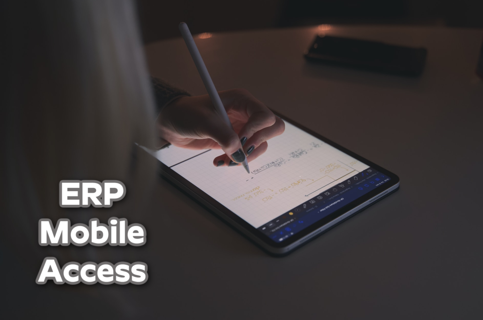 ERP mobile access